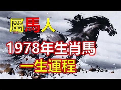 1978屬馬女2023年運勢換工作|屬馬女2023運勢大揭秘